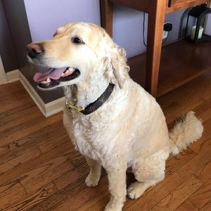 Meet your Posher, Robert